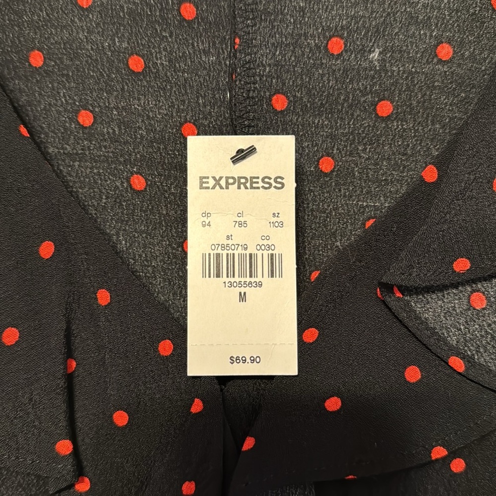 Express Dress - Picture 2 of 4
